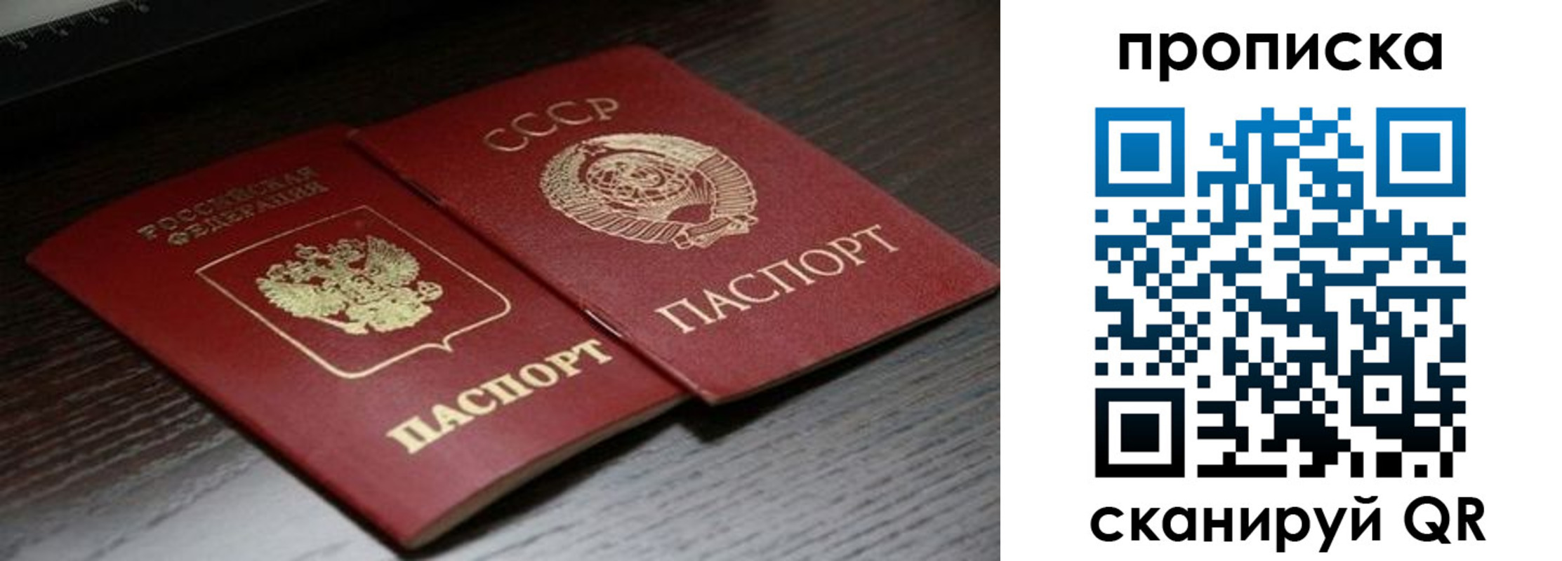 прописка в квартире в Всеволожске